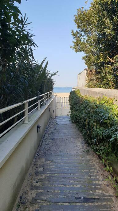 Arcareve - Grand Studio De Standing Avec Terrasse, Jardin Et Acces Direct A La Plage Аркашон Экстерьер фото